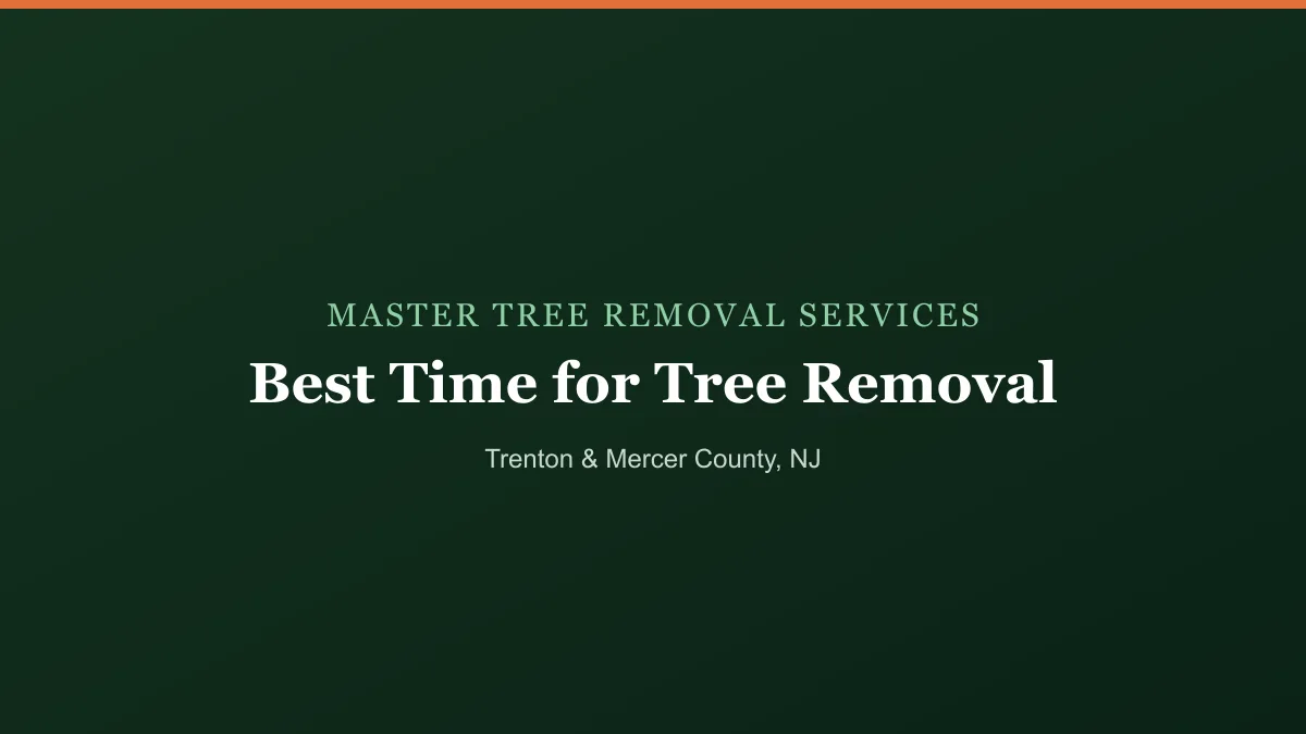 Bare winter trees on a New Jersey property ready for dormant-season removal
