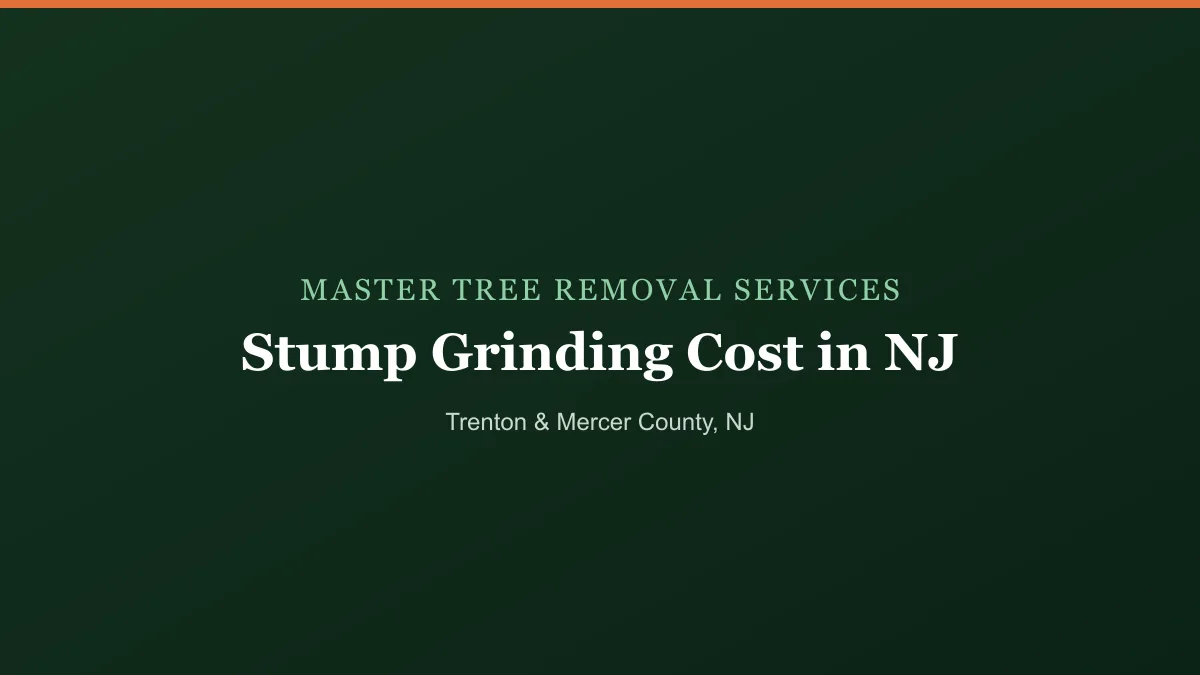 Stump grinder reducing a hardwood stump below grade at a New Jersey home