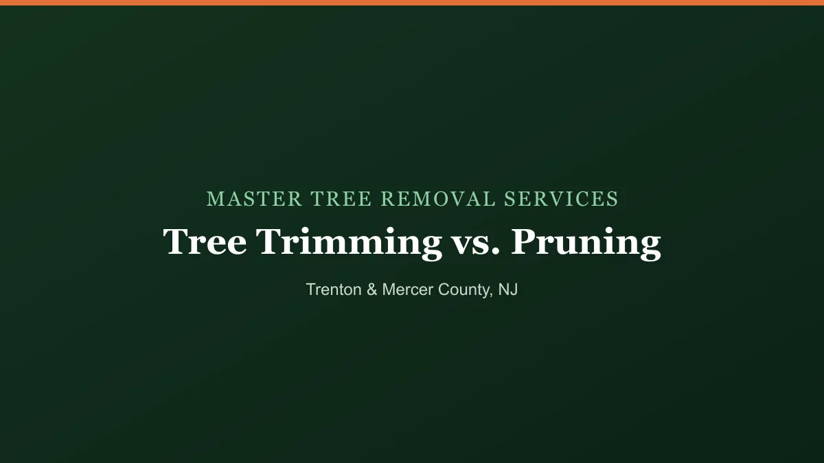 Arborist making a precise pruning cut on a tree branch in New Jersey